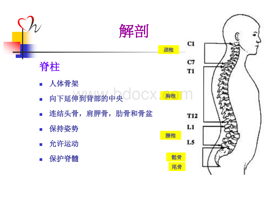 脊髓损伤患者的护理.ppt_第3页