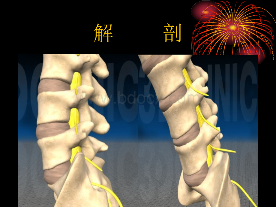 腰椎间盘突出症的诊治_精品文档.ppt_第2页