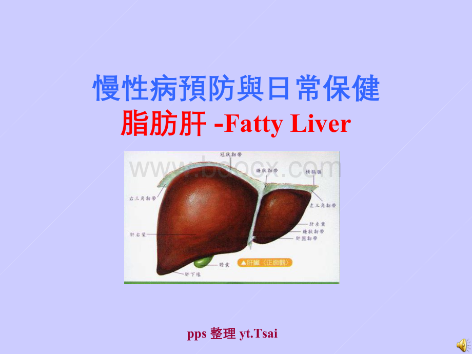 脂肪肝.pps