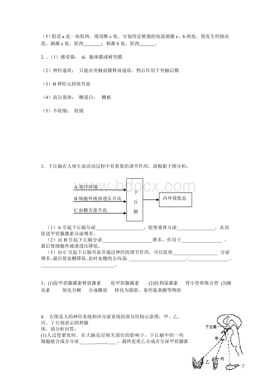 高中生物必修三复习题Word文档格式.doc_第2页