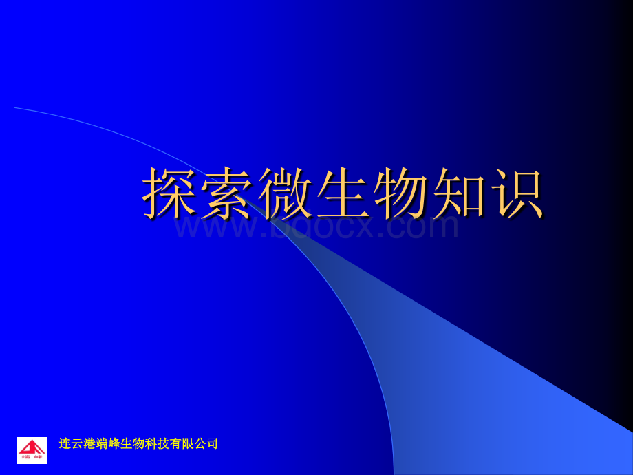 微生物基础知识培训强化版PPTPPT课件下载推荐.ppt_第2页