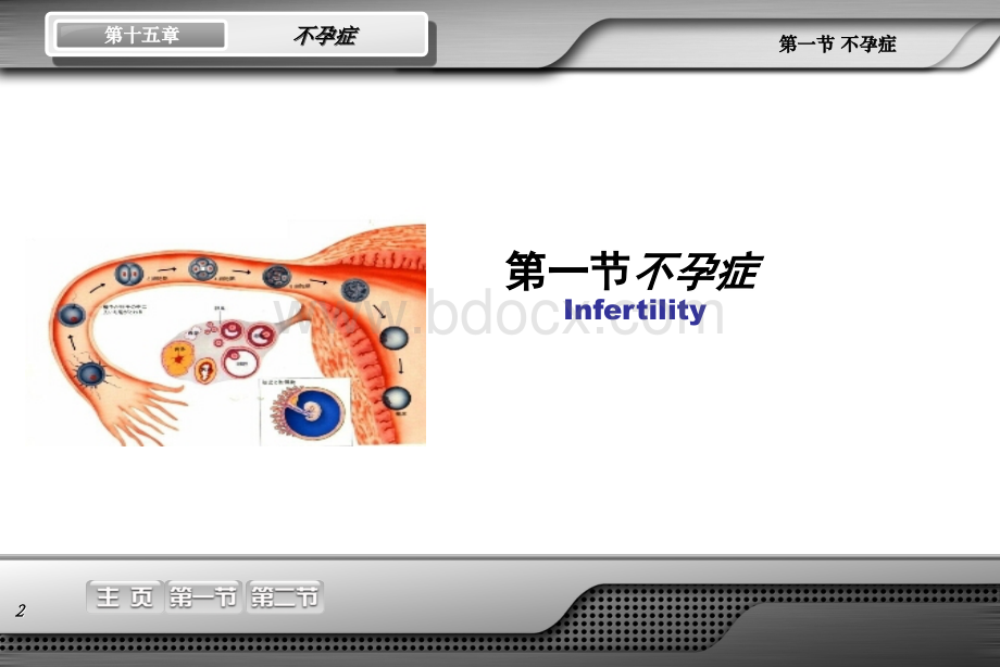 不孕症及辅助生殖技术含特效优质PPT.ppt_第2页