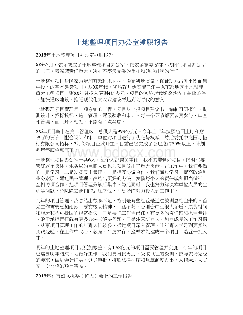 土地整理项目办公室述职报告Word文档下载推荐.docx_第1页