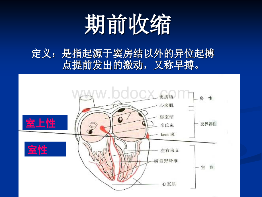 心律失常1实验诊断PPT推荐.ppt_第2页