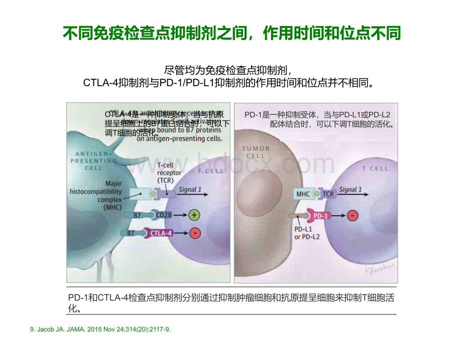 肿瘤免疫治疗相关不良反应处理PPT格式课件下载.pptPPT格式课件下载.ppt_第3页