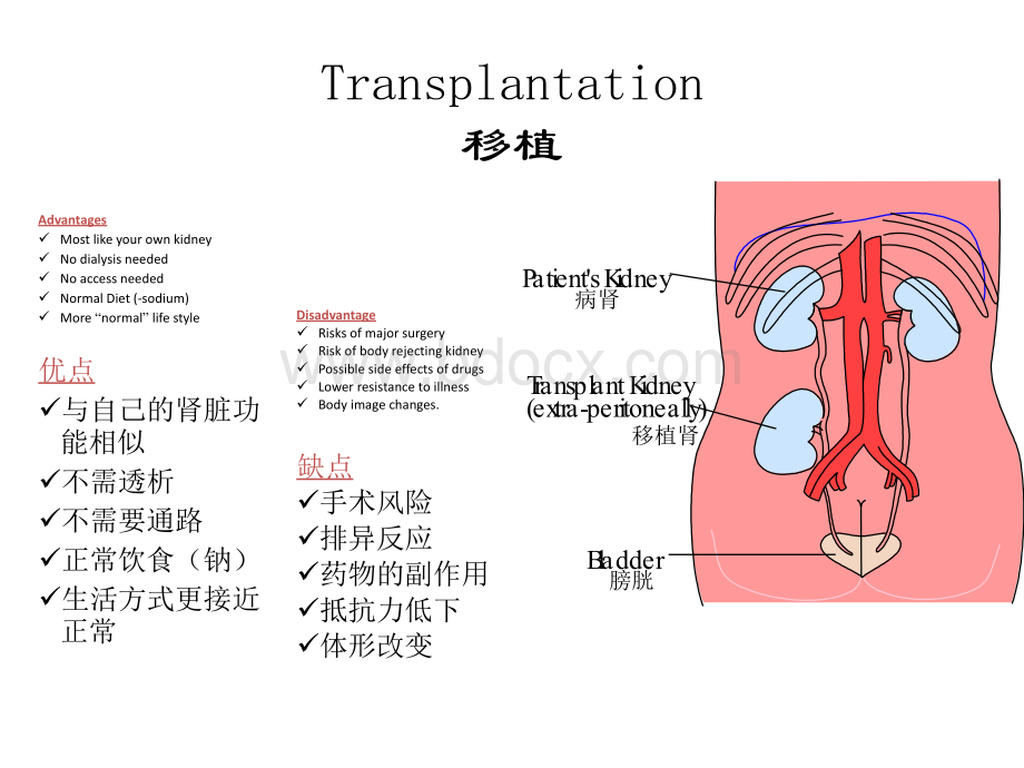 腹膜透析技术_精品文档.ppt_第3页