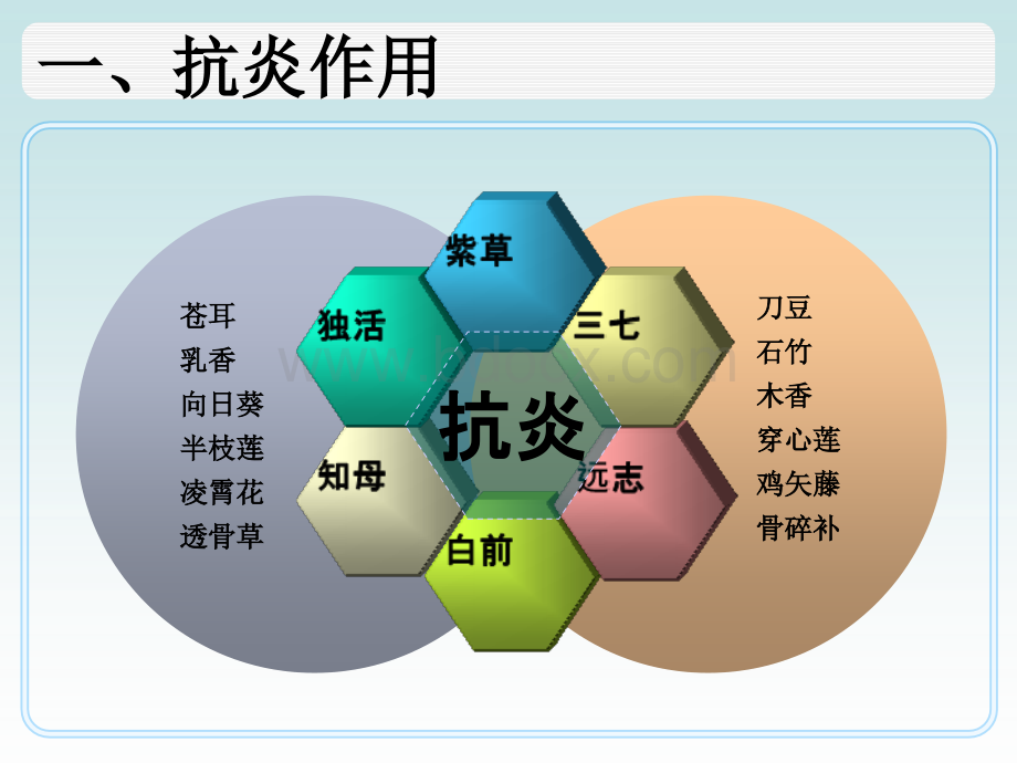 中草药功效介绍精品文档.ppt_第2页