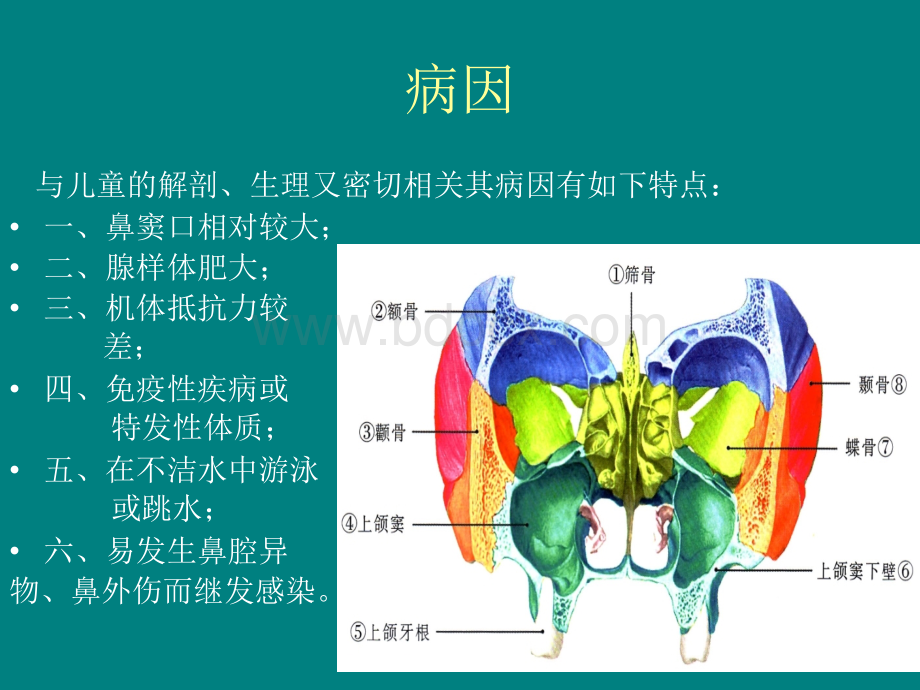 儿童鼻窦炎诊断和治疗建议修订PPT文档格式.ppt_第3页