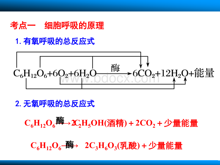 细胞呼吸总结PPT格式课件下载.ppt_第1页