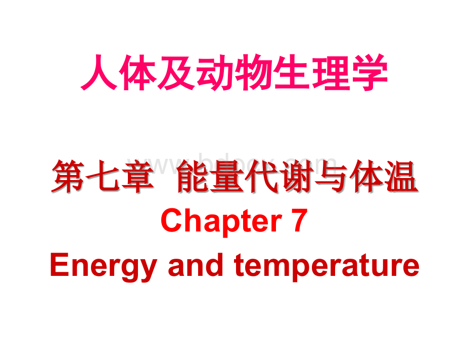 生理学能量代谢.ppt