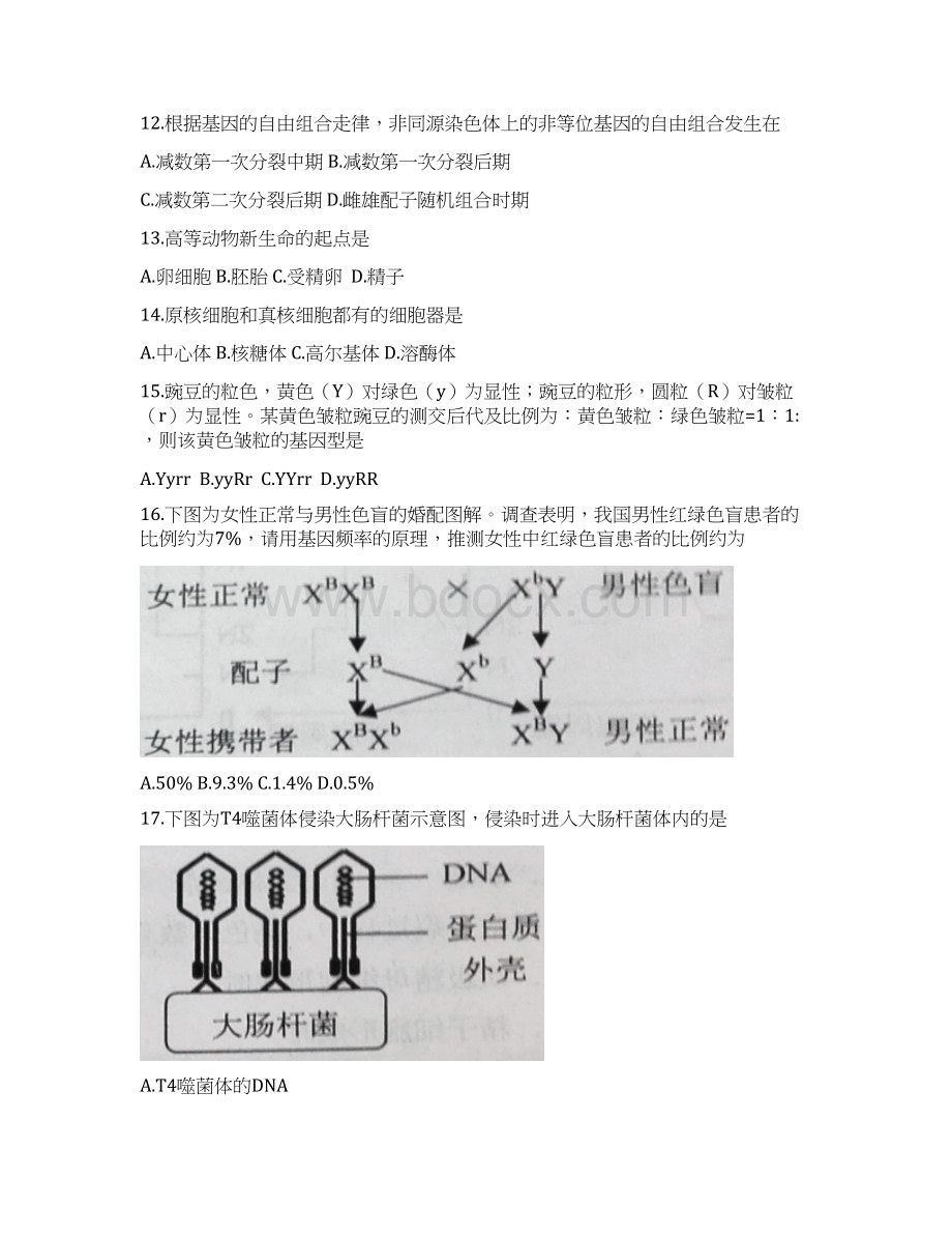 江苏省连云港市学年高一下学期期末考试生物试题Word版含答案Word文档下载推荐.docx_第3页