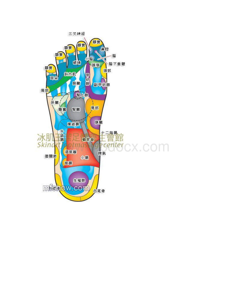 手足耳穴位详细图解Word文档下载推荐.docx_第2页