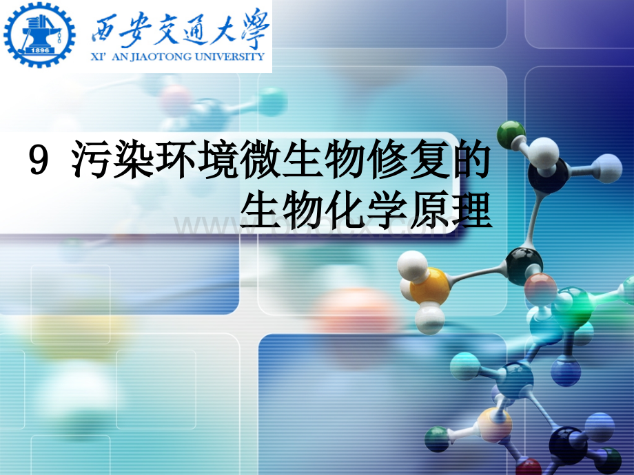 环境生物化学第九章PPT推荐.ppt_第1页