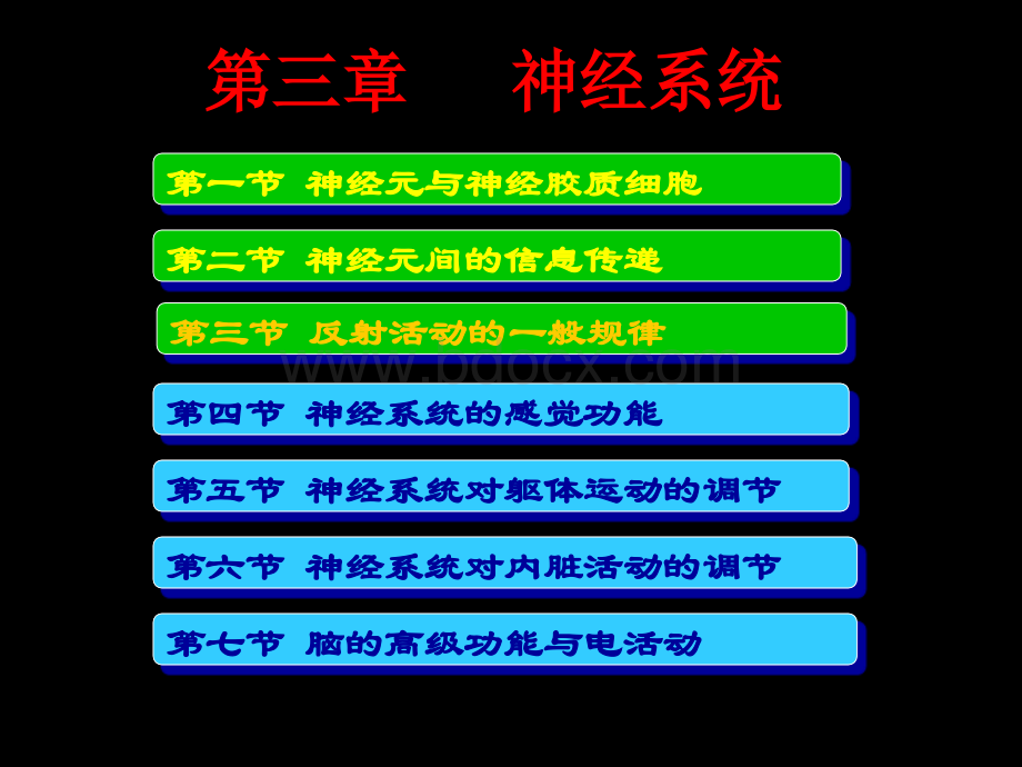 神经系统活动的基本原理优质PPT.ppt