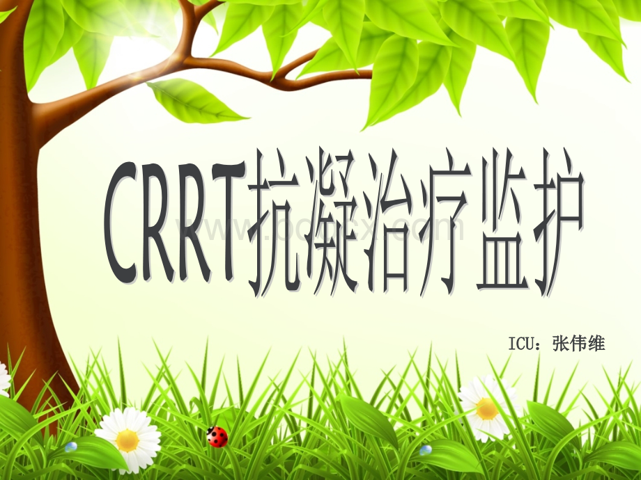 CRRT抗凝治疗监测PPT文档格式.ppt