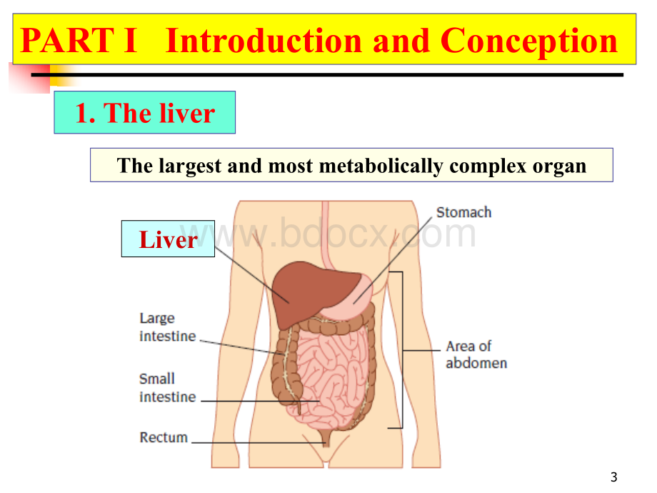 肝性脑病英文课件.ppt_第3页