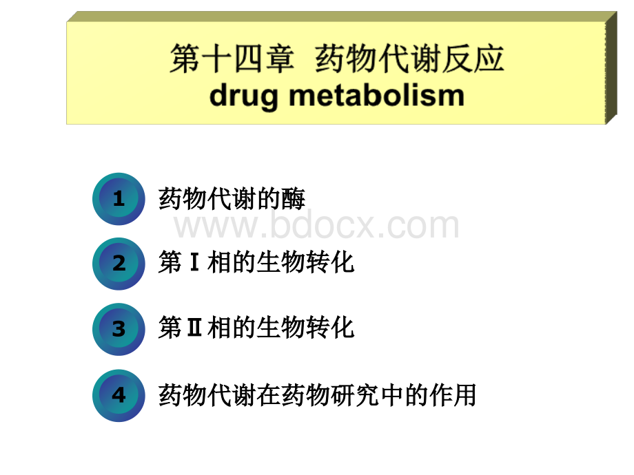 14药物化学第十四章药物代谢反应PPT文档格式.ppt_第2页