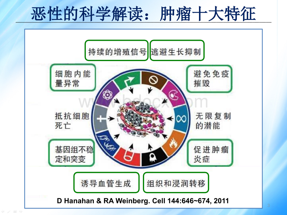 肿瘤微环境ppt课件.pptx_第3页