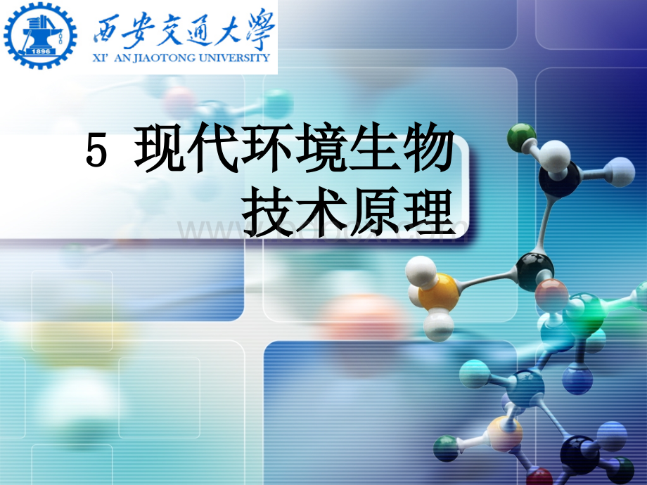 环境生物化学第五章.ppt