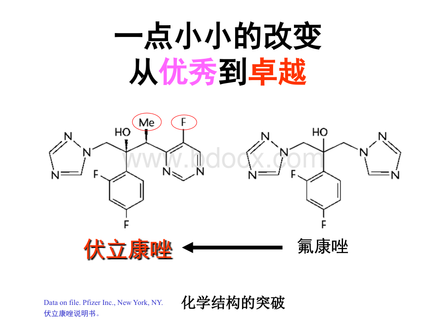 真菌感染一线首选.ppt_第2页