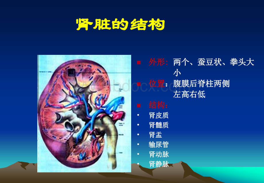 营养饮食宣教_精品文档.ppt_第2页