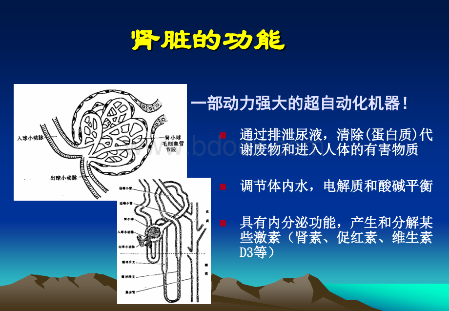 营养饮食宣教_精品文档.ppt_第3页