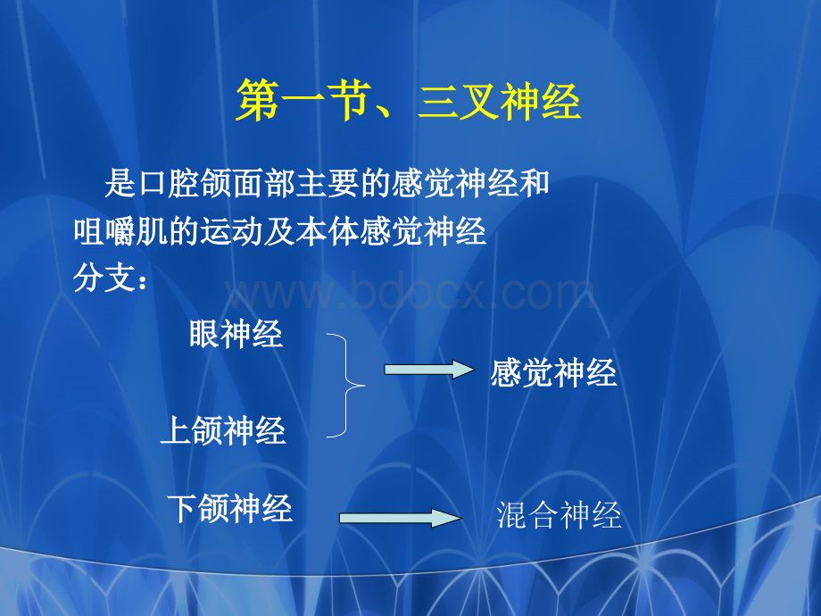 第十章口腔颌面部神经PPT资料.ppt_第3页