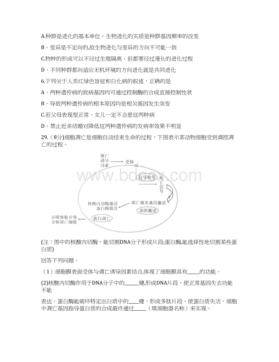 云南省昆明一中届高三高中新课标第一次摸底测试理科综合生物试题含答案.docx_第2页