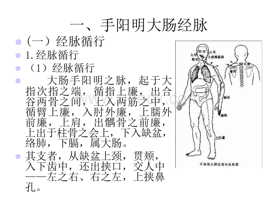 经络学-手阳明大肠经PPT文档格式.ppt_第3页