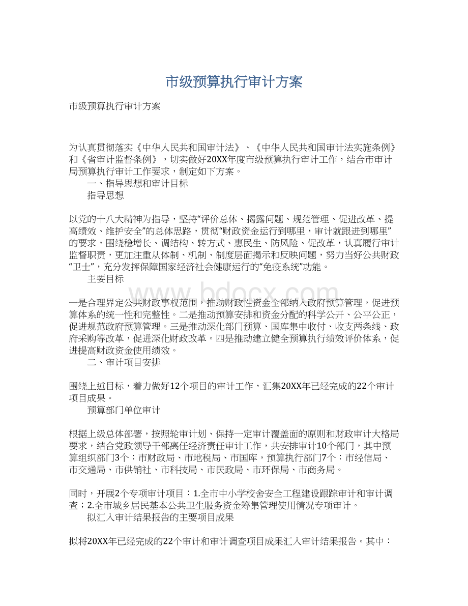 市级预算执行审计方案.docx_第1页