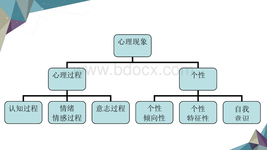 老年人的心理特点PPT文件格式下载.pptx_第3页