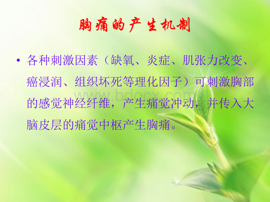 胸痛的鉴别诊断与急性冠脉综合征诊治PPT文档格式.ppt_第3页