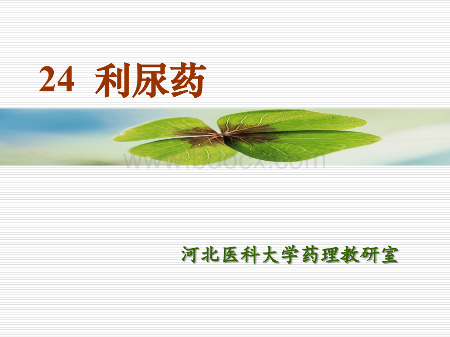 药理学-利尿药_精品文档PPT格式课件下载.ppt