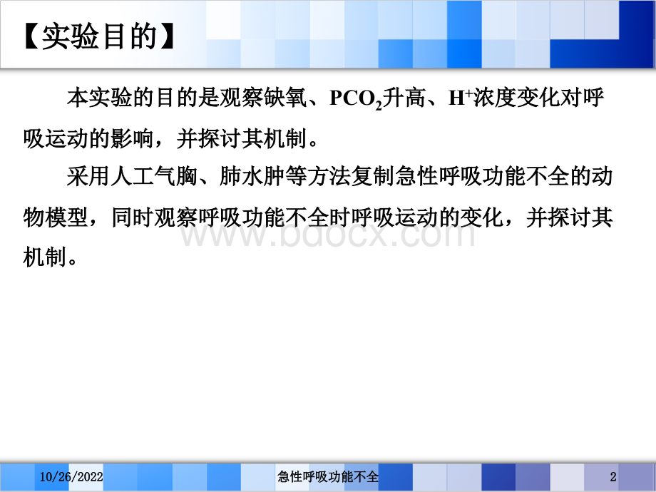 呼吸运动的影响因素与急性呼吸功能不全.ppt_第2页