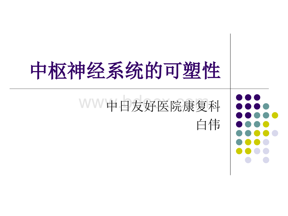 中枢神经系统的可塑性PPT文件格式下载.ppt