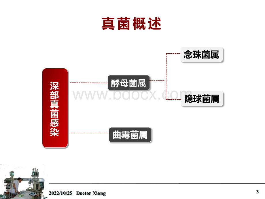 临床医生如何看待真菌感染与定植精品文档PPT文件格式下载.ppt_第3页