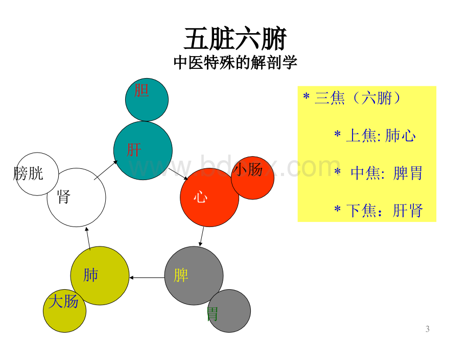 五脏六腑常识.ppt_第3页