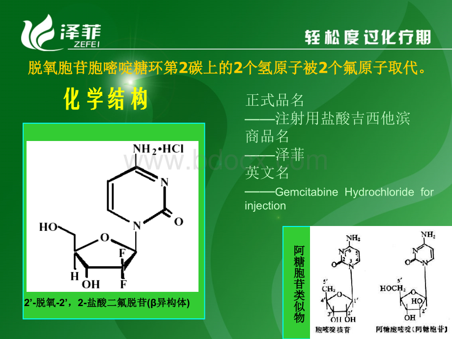 吉西他滨治疗非小细胞肺癌PPT推荐.ppt_第2页