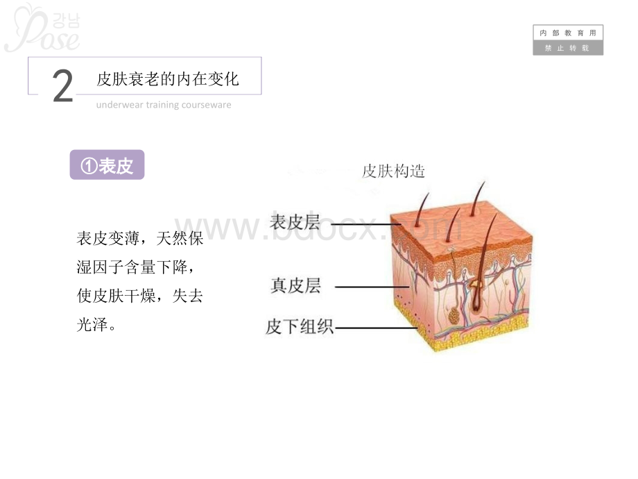 皮肤管理培训资料.pptx_第3页