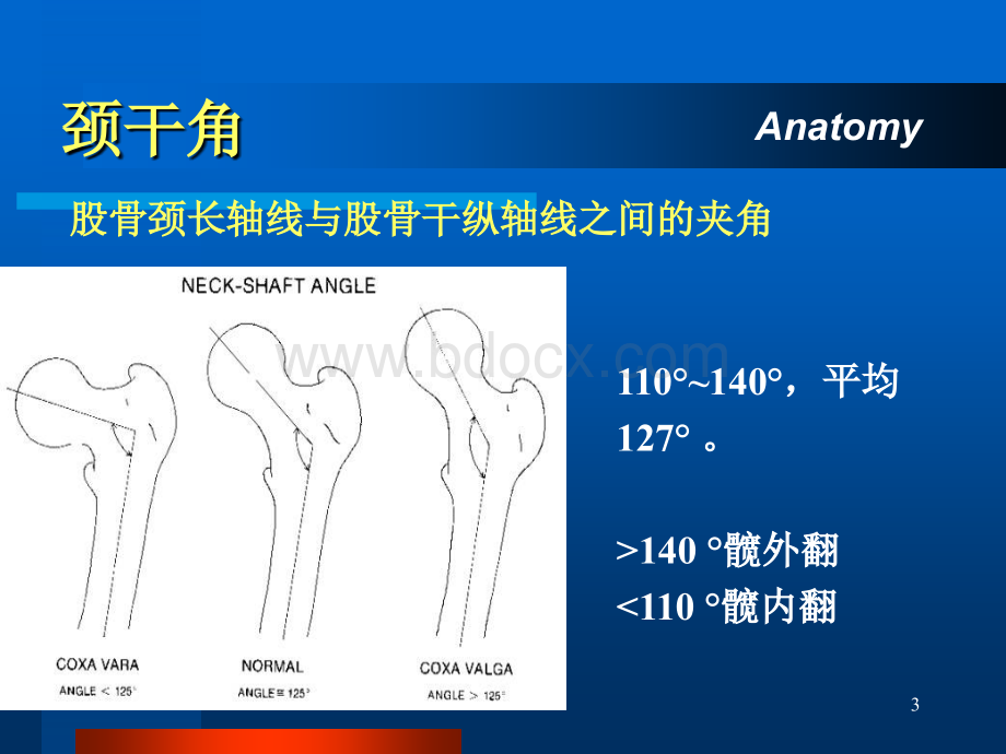 股骨颈骨折ppt-精品课件.ppt_第3页