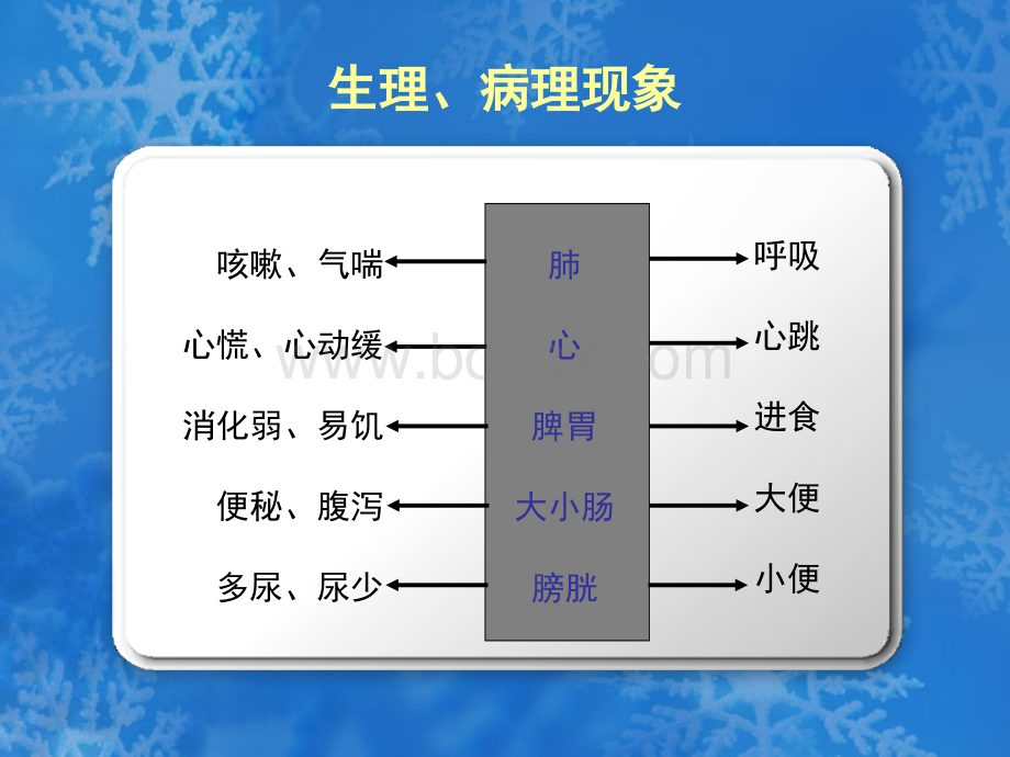 中医学基础3从五脏系统认识藏象上.ppt_第3页