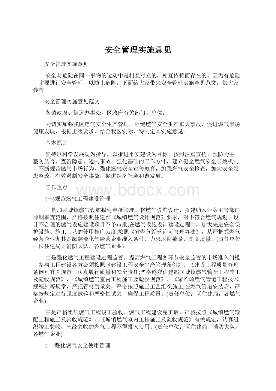 安全管理实施意见文档格式.docx_第1页