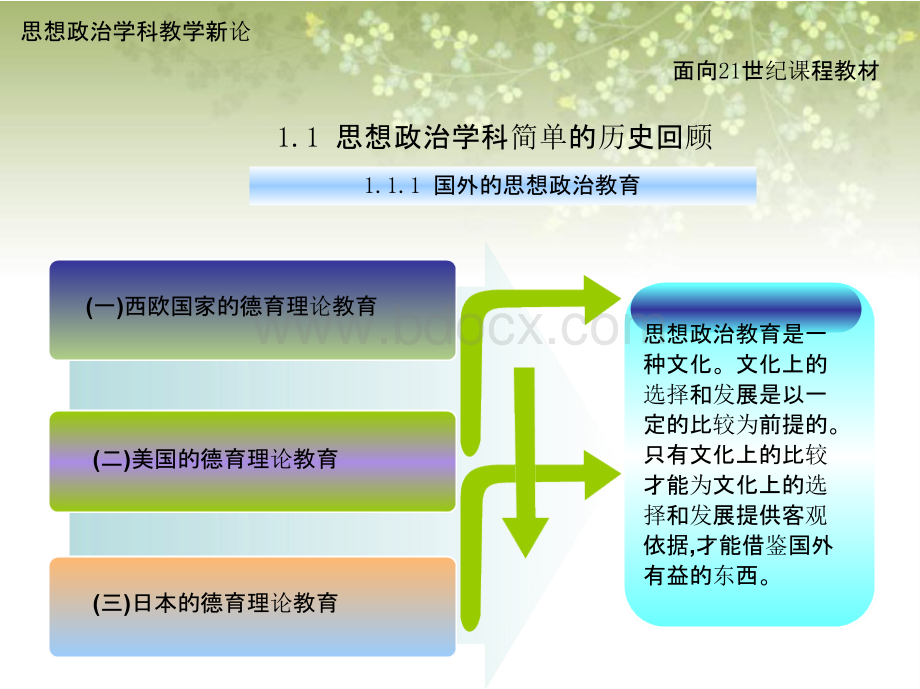 第一章 思想政治学科原理论优质PPT.pptx_第3页