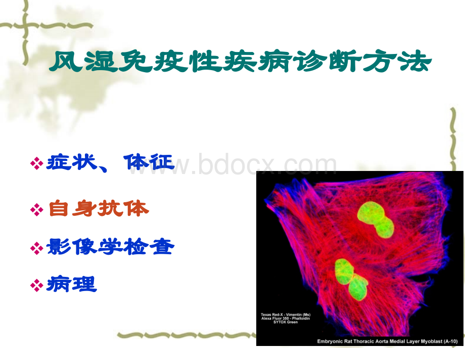 抗核抗体检测及临床意义-张瑾.ppt