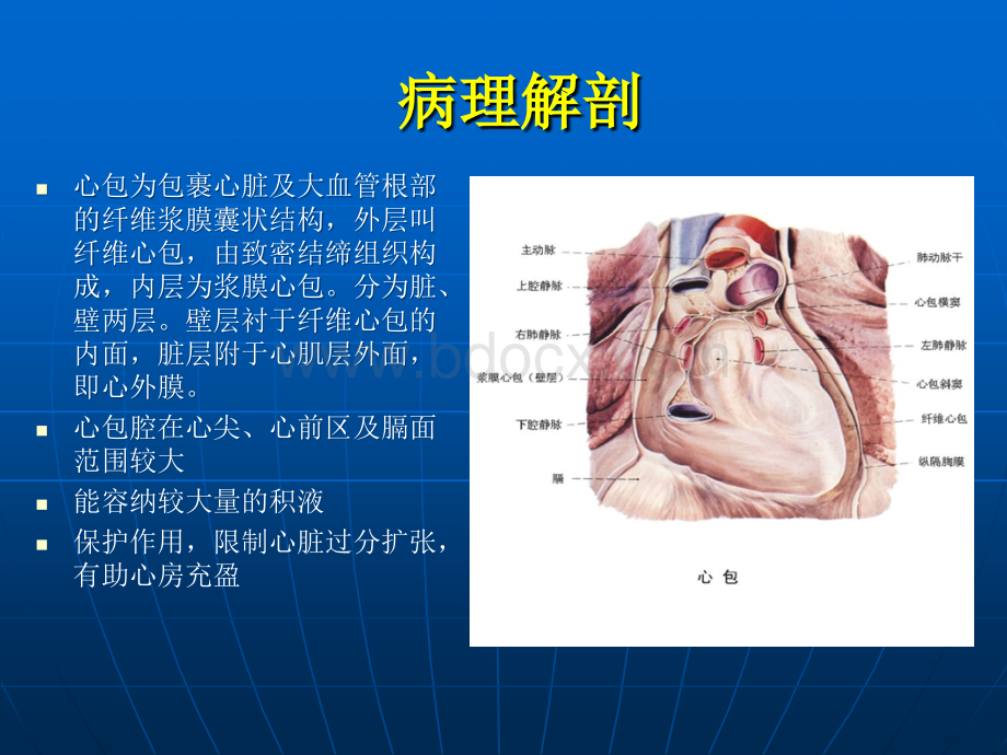 心包积液PPT医学课件PPT文件格式下载.ppt_第2页