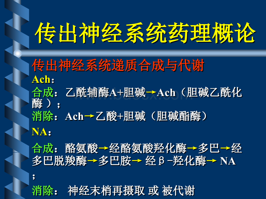 沈大医院传出神经系统药理.ppt_第2页