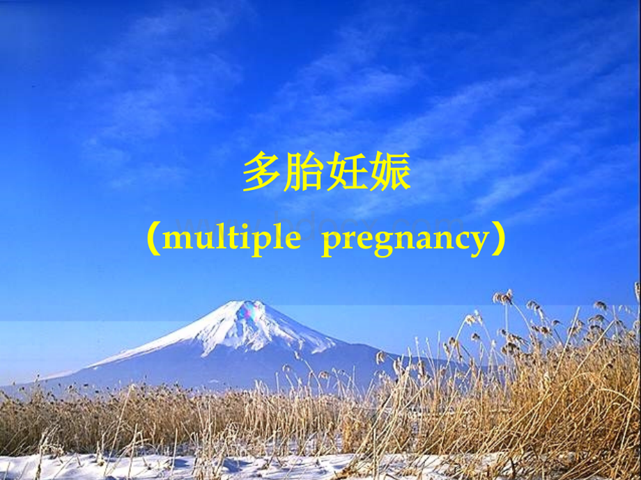 多胎妊娠--妇产讲课ppt优质PPT.ppt