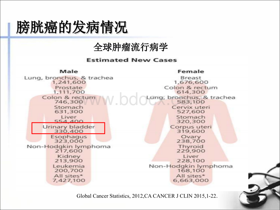 肌层浸润性膀胱癌保留膀胱术后不同辅助治疗方法疗效评价PPT推荐.pptx_第2页