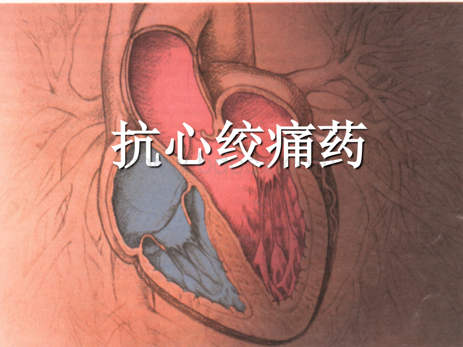 药理学23抗心绞痛药_精品文档.ppt