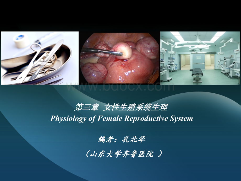 妇产科八年制3章.ppt_第2页